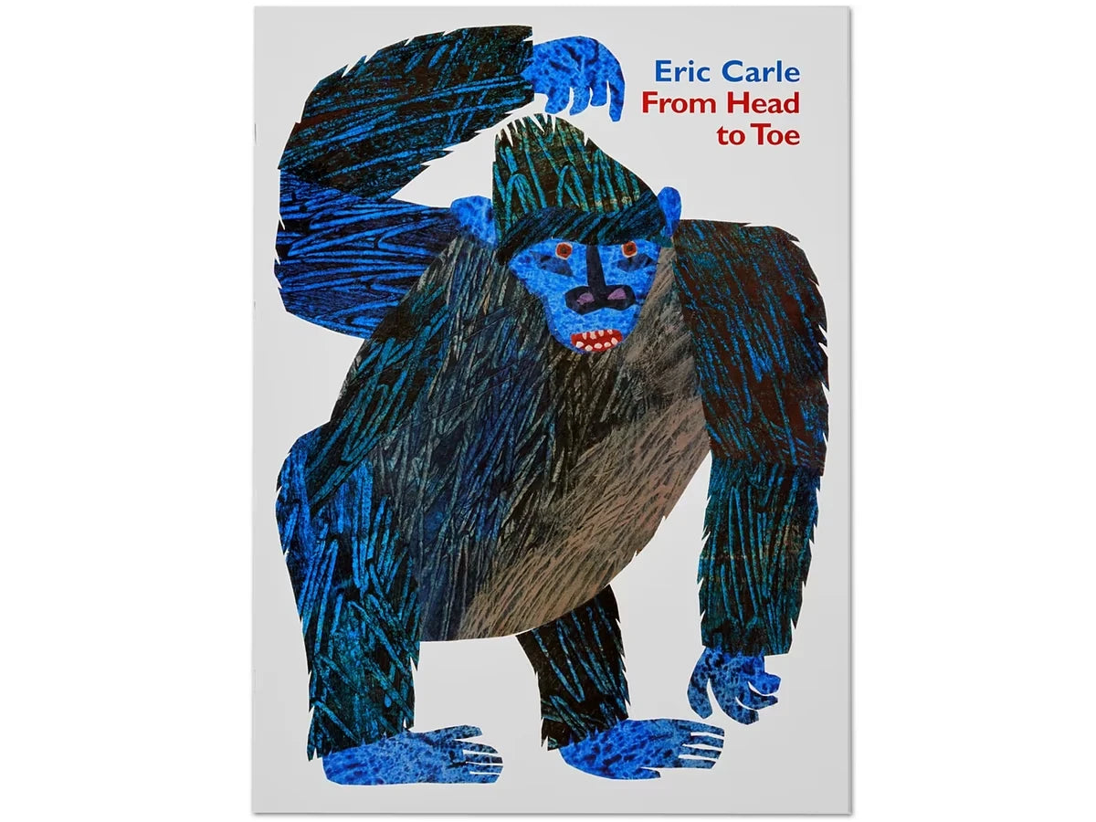 From Head to Toe Big Book - US 3528