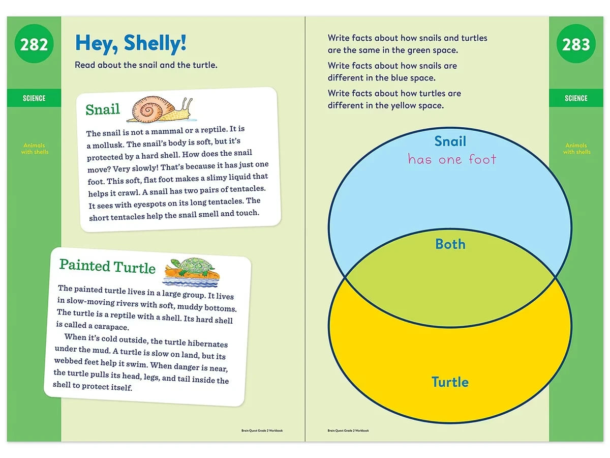Brain Quest Workbook - Gr. 2 - US 2574