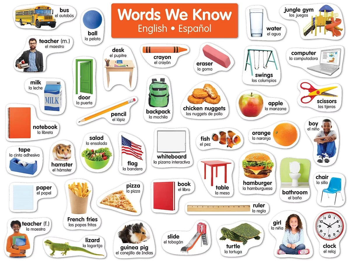 Spanish-English Word Wall Bulletin Board Set - US 4167