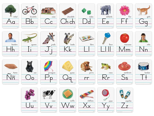 Spanish Alphabet Card Bulletin Board Set - US 8030