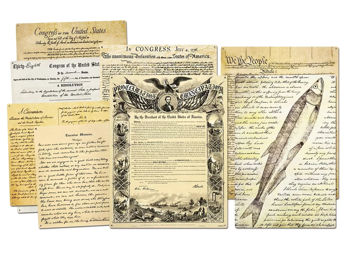 Primary Source Magnetic Poster Pack - US 8407