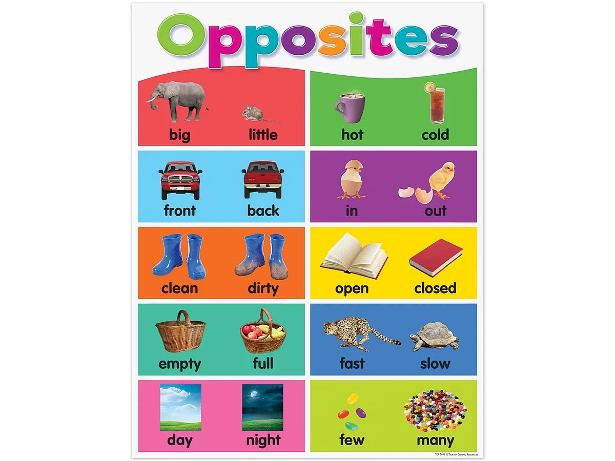 Colorful Opposites Poster - US 6753