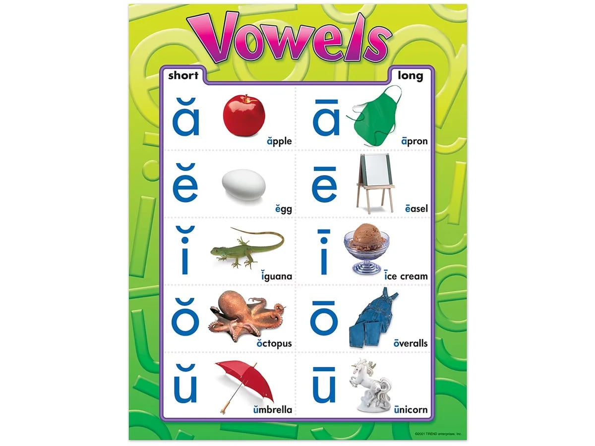 Vowels Photo Poster - US 2217
