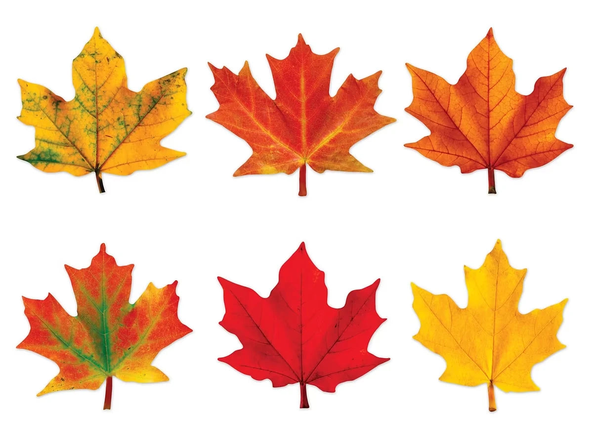Maple Leaf Mini Accents - US 7080