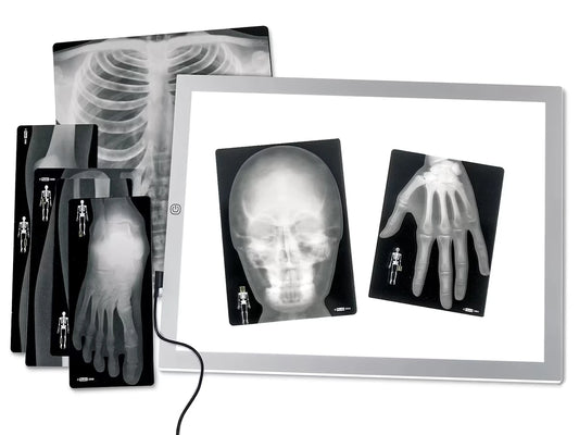 Human X-Rays - Set of 18 - US 1127