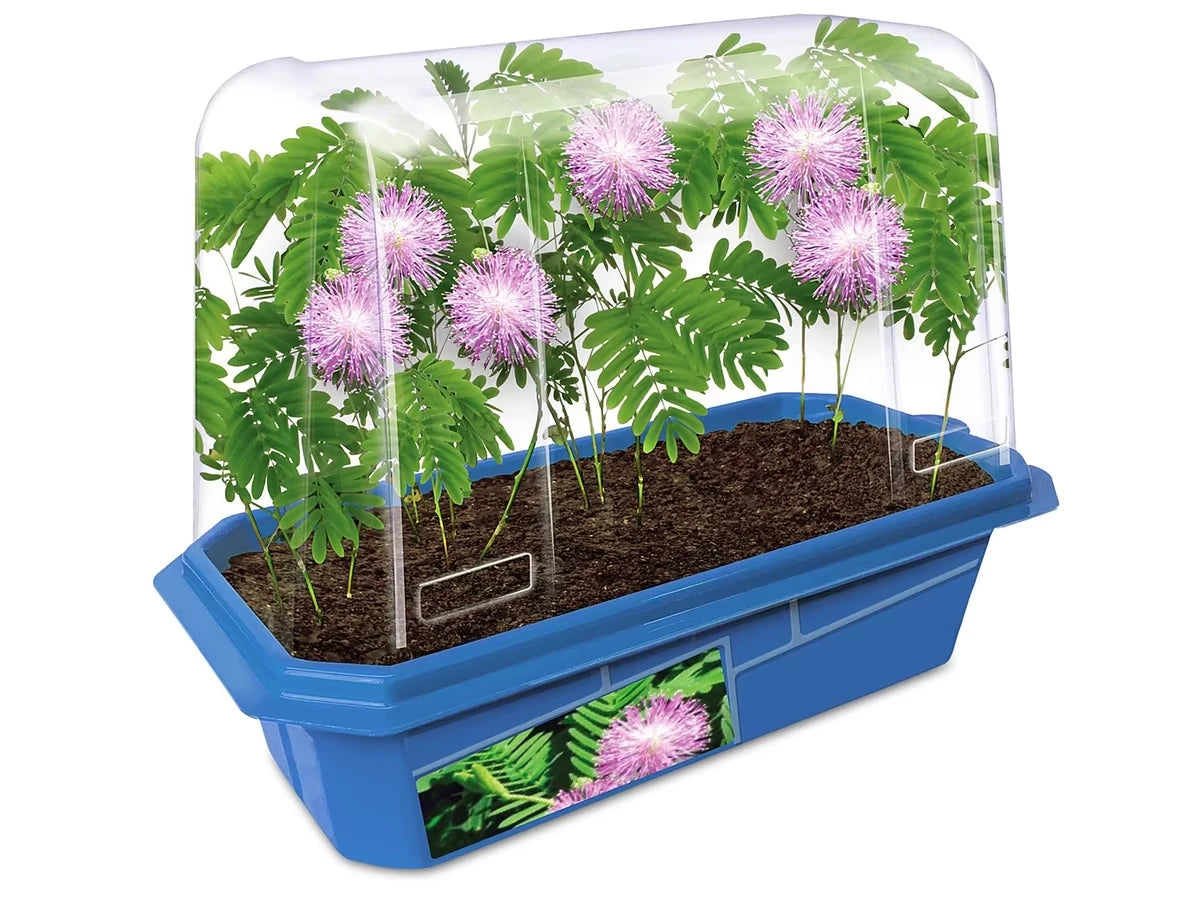 Grow-Your-Own Moving Plant - US 3638