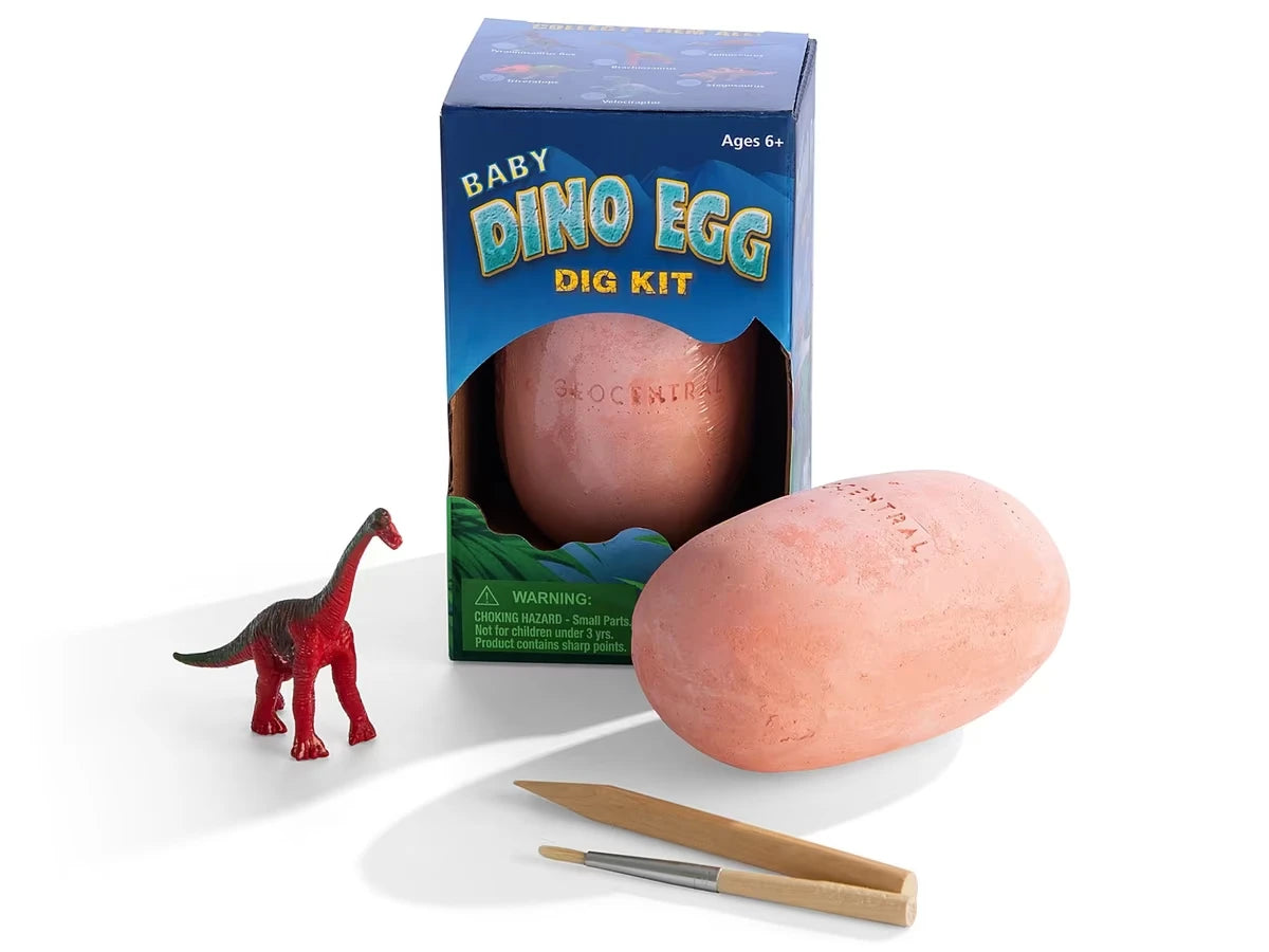 Baby Dino Egg Excavation Kit - US 5522