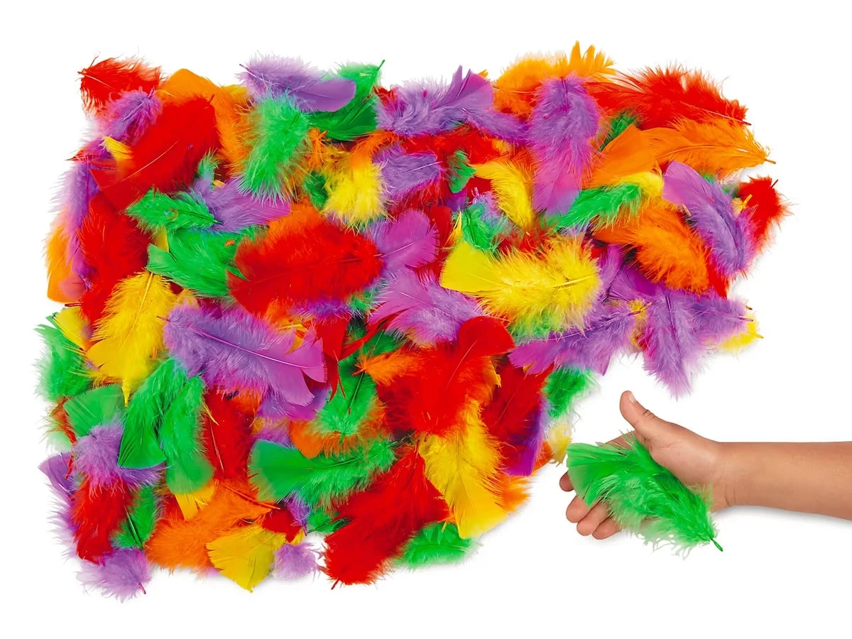 Colored Feathers - US 6640