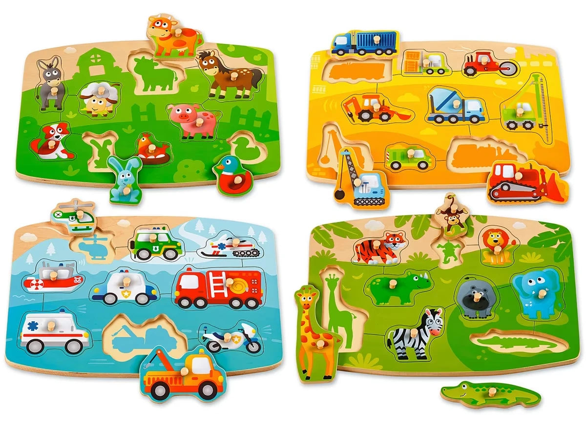 Beginner’s Peg Puzzle Set - US 3548