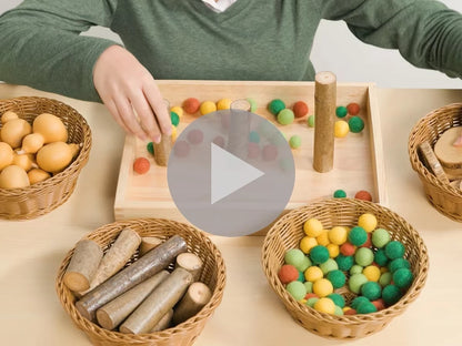 Woodland Wonders Loose Parts Discovery Kit - US 4176