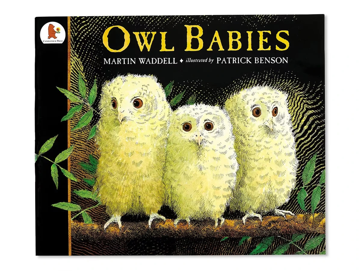 Owl Babies Big Book - US 1295