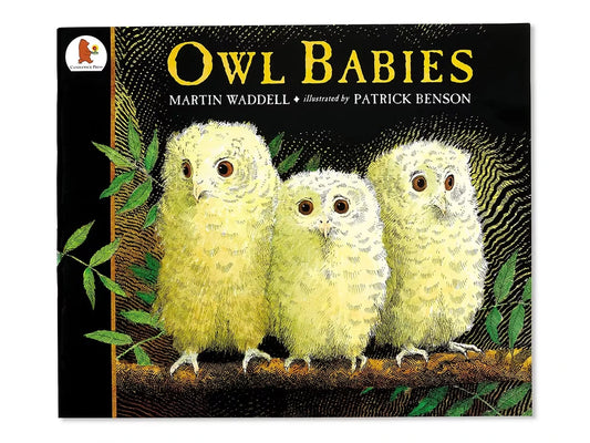 Owl Babies Big Book - US 1295
