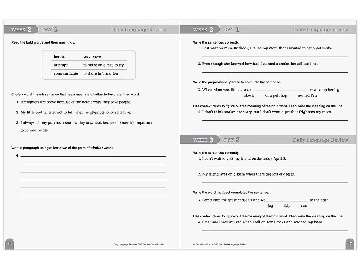 Daily Language Review Workbook - Gr. 4 - US 8222