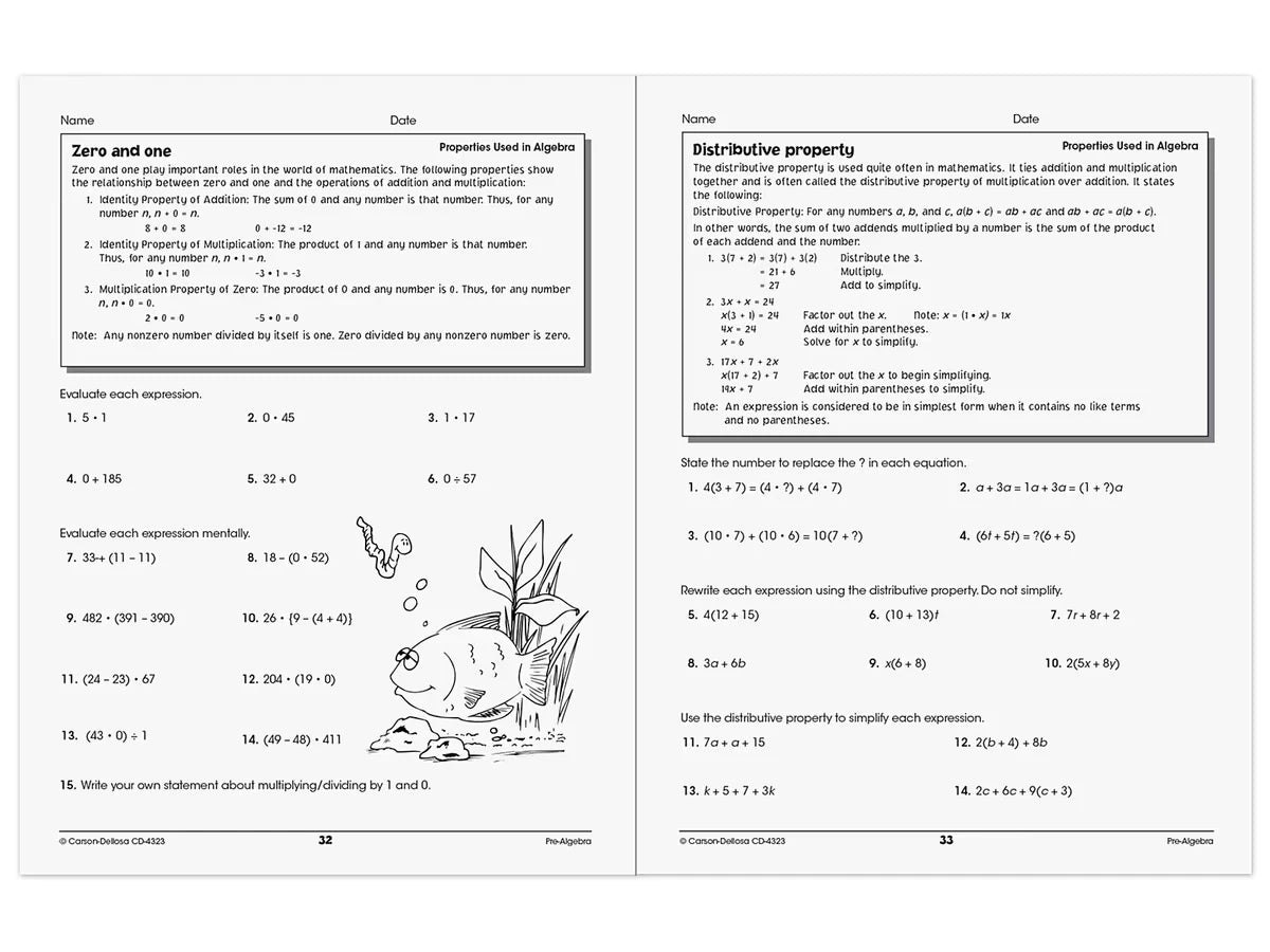 Pre-Algebra Skills for Success Workbook - US 2610