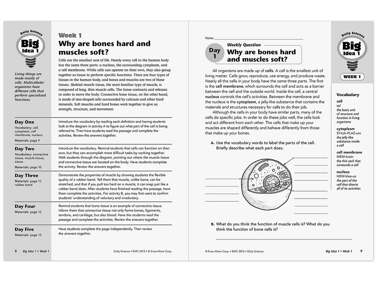 Daily Science Reproducible Activities Workbook - Gr. 5 - US 1991