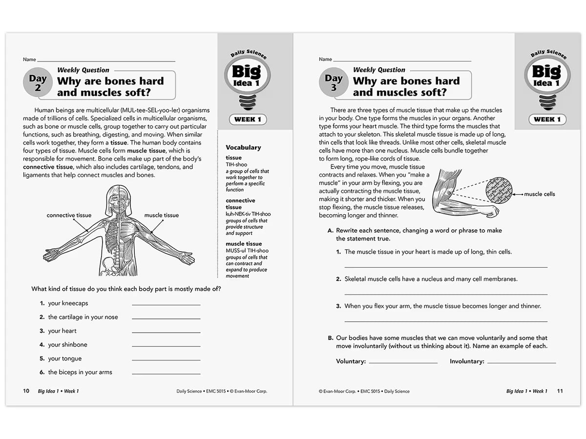 Daily Science Reproducible Activities Workbook - Gr. 5 - US 1991