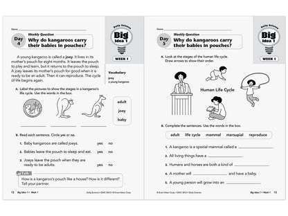 Daily Science Reproducible Activities Workbook - Gr. 2 - US 7725