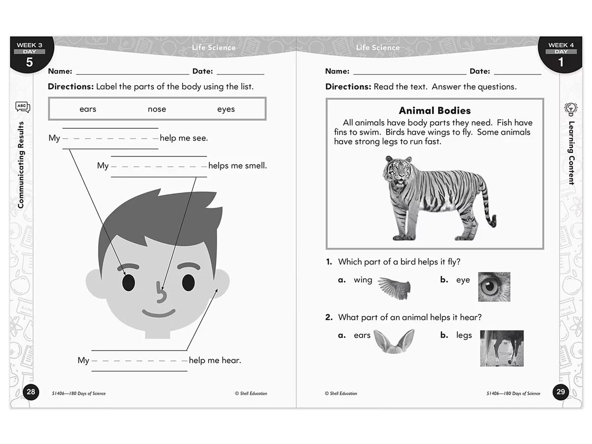 180 Days of Science Workbook - Kindergarten - US 8458