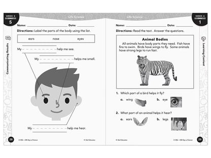 180 Days of Science Workbook - Kindergarten - US 8458