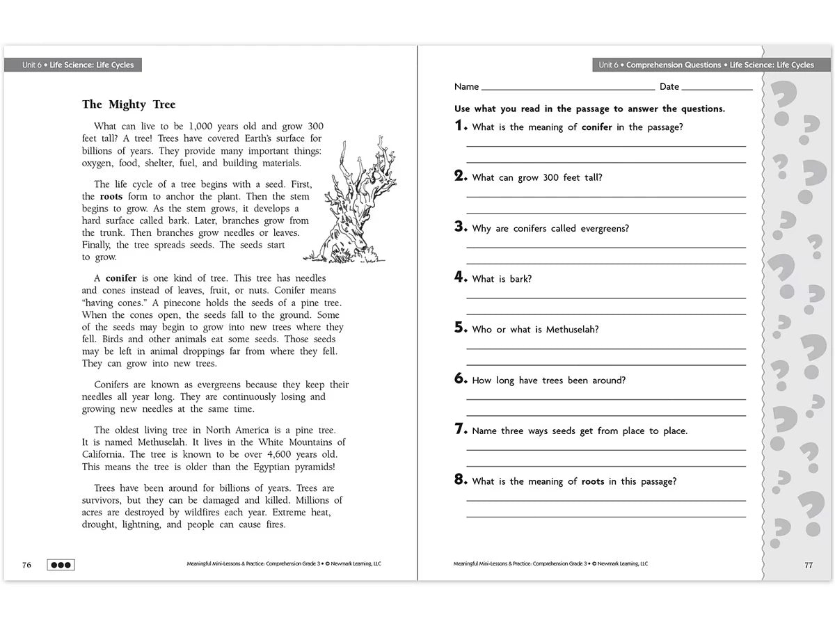 Comprehension Workbook - Gr. 3 - US 5007