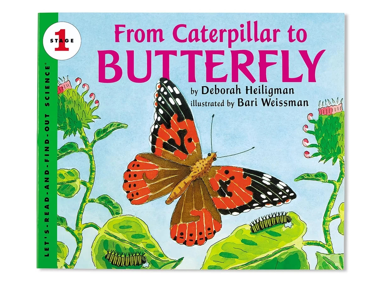 From Caterpillar to Butterfly Big Book - US 4786