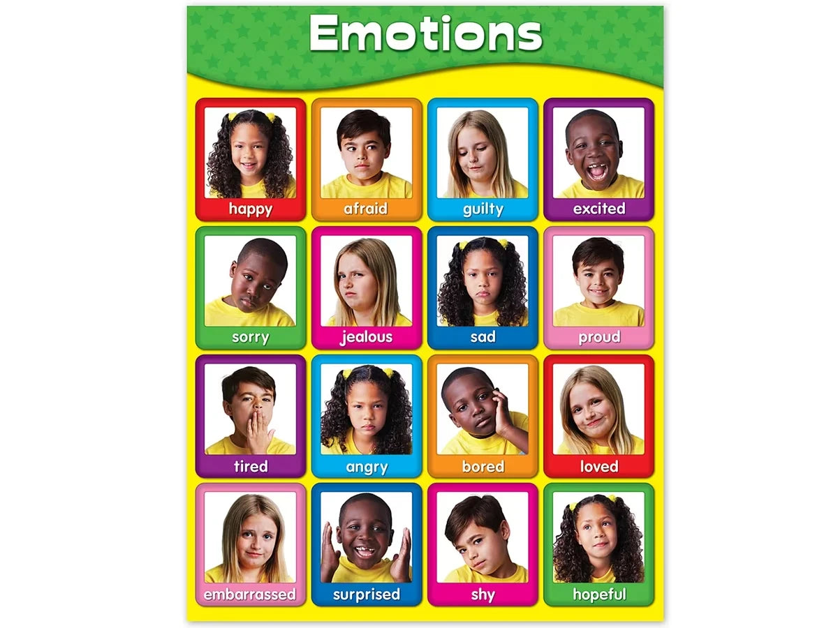 Emotions Photo Poster - US 2158