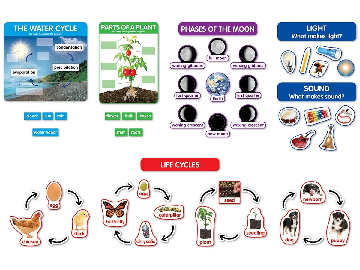 Early Science Concepts Bulletin Board Set - US 9424