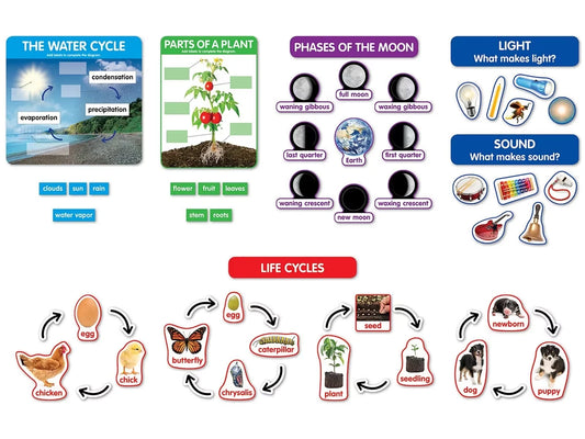 Early Science Concepts Bulletin Board Set - US 9424