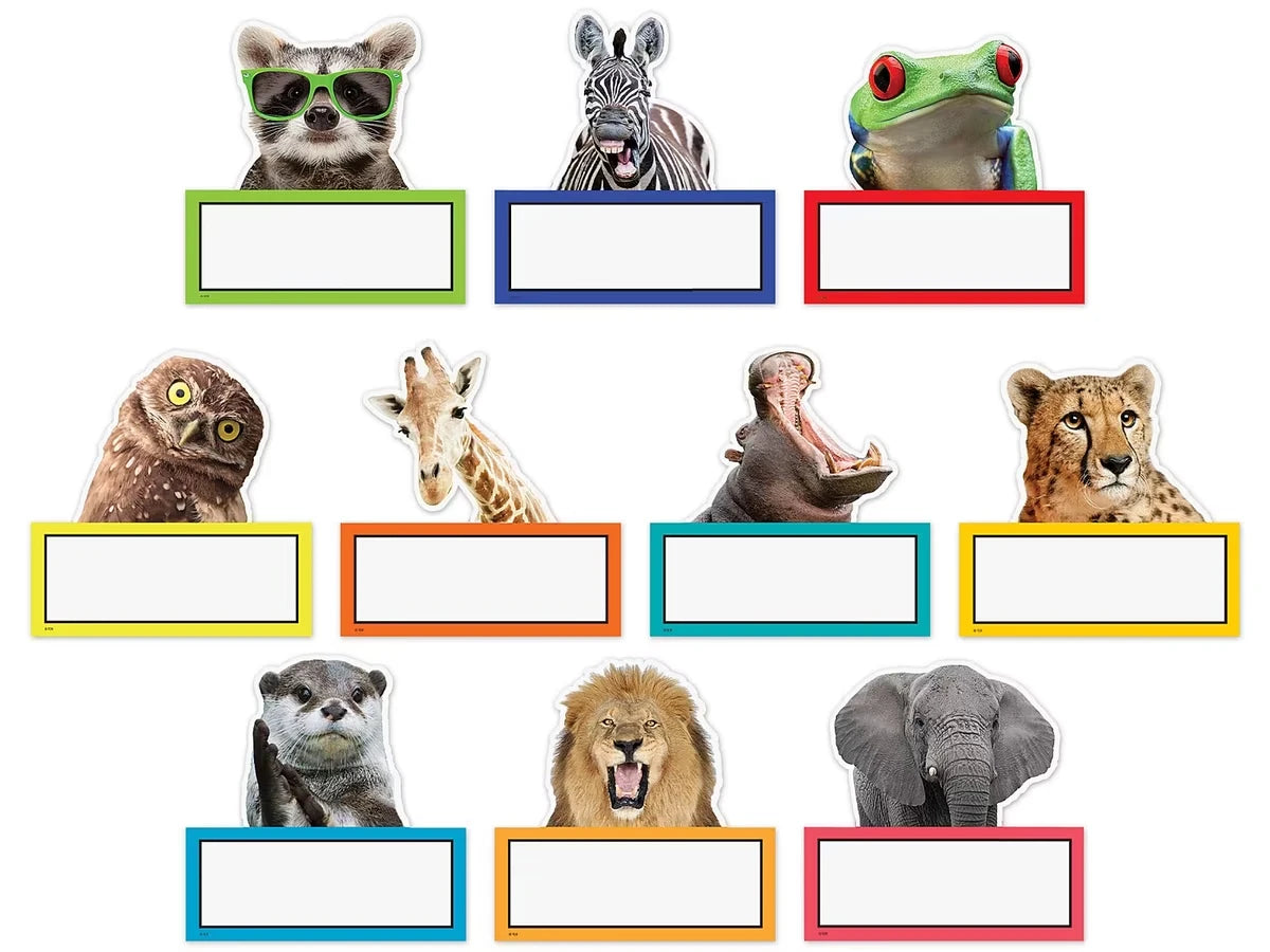 Go Wild Animals Accents - US 4884