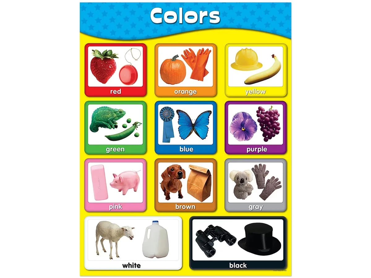 Exploring Colors Poster - US 2426