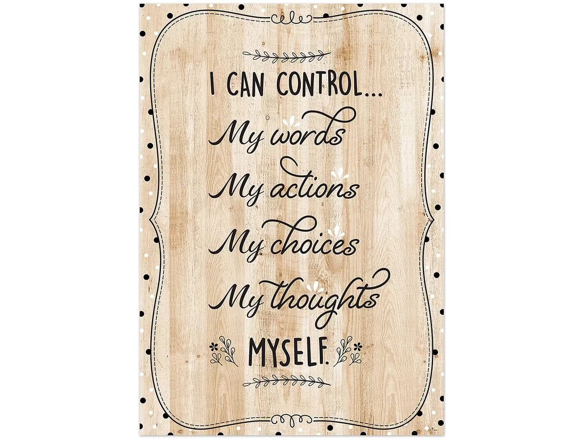 I Can Control… Wooden Poster - US 9519