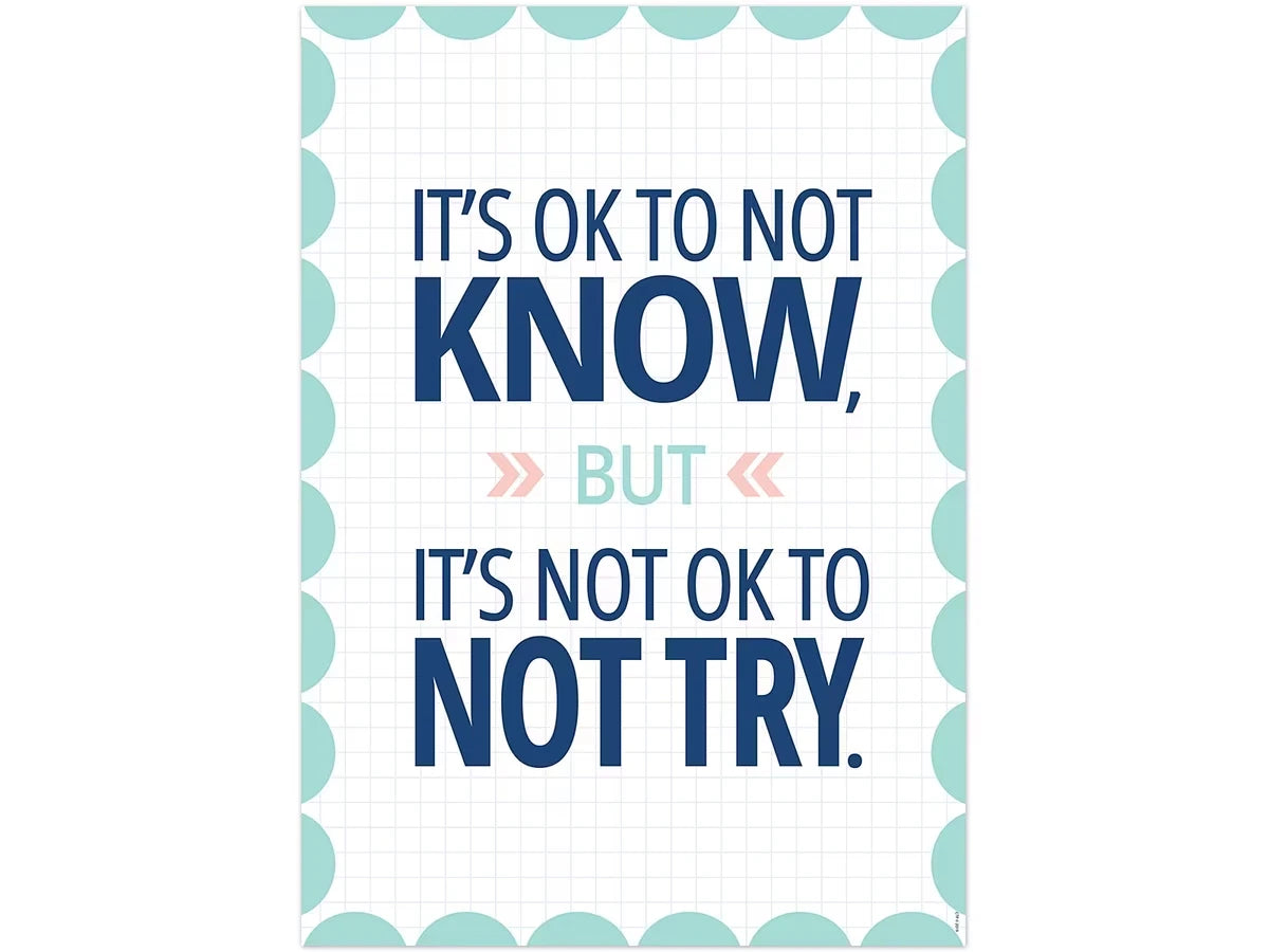 Calm & Cool It’s OK to Not Know Poster - US 3229