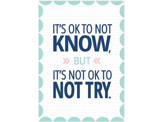 Calm & Cool It’s OK to Not Know Poster - US 3229