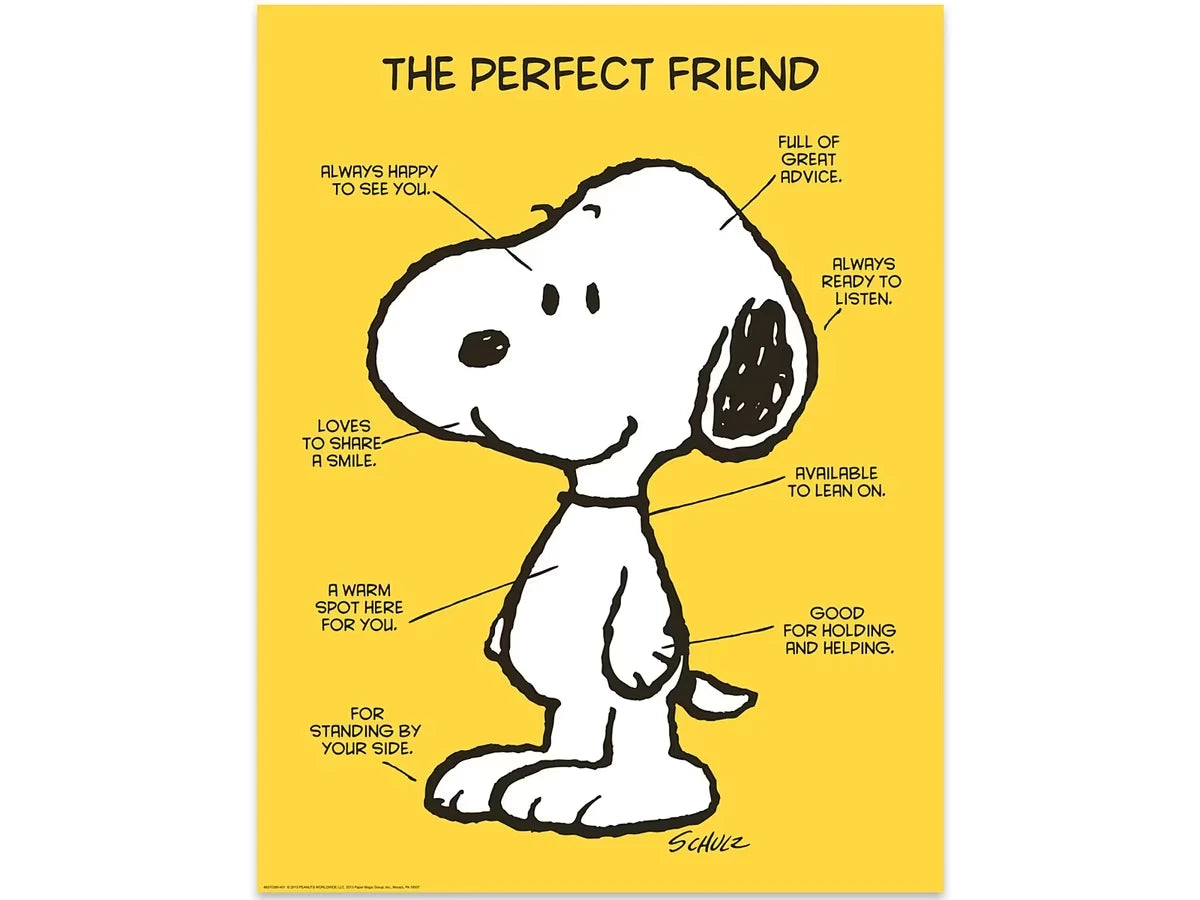 Peanuts® the Perfect Friend Poster - US 8983