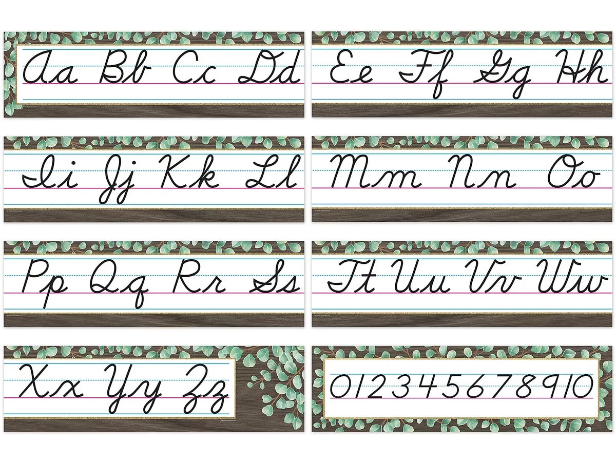 Eucalyptus Cursive Bulletin Board Set - US 6579