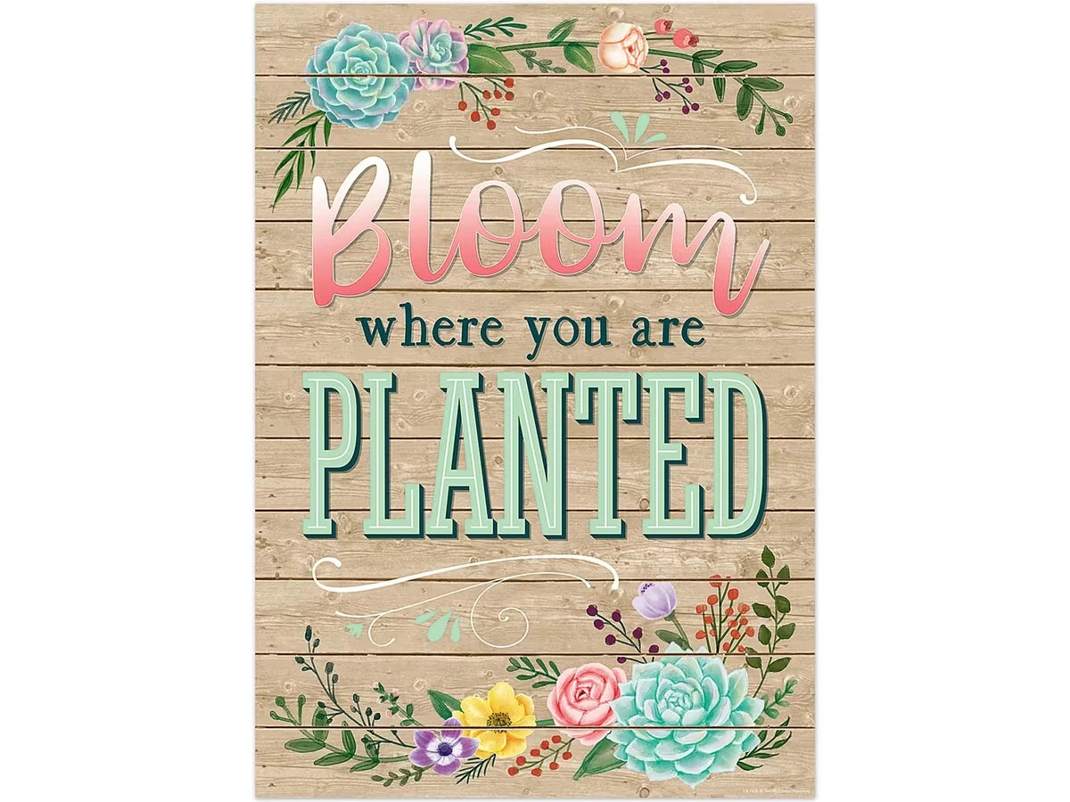 Rustic Bloom - Bloom Where You Are Planted Poster - US 3562