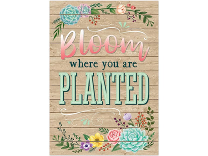 Rustic Bloom - Bloom Where You Are Planted Poster - US 3562
