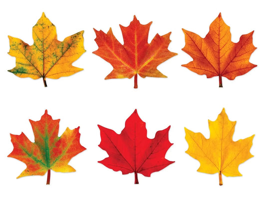 Maple Leaf Mini Accents - US 7080