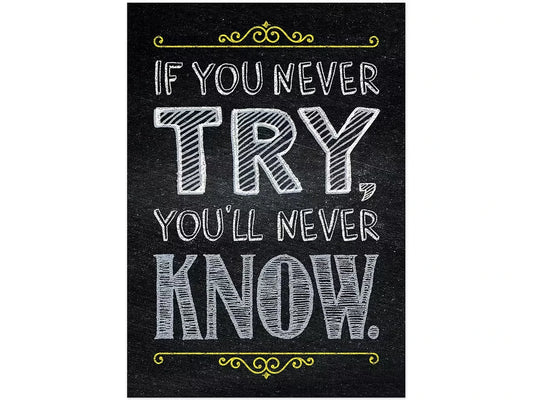 Chalk It Up! If You Never Try, You’ll Never Know Poster - US 8543