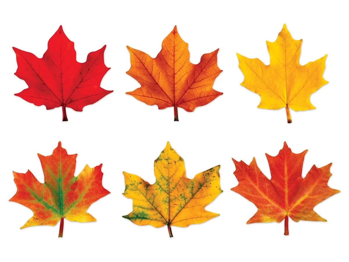 Maple Leaf Accents - US 1271