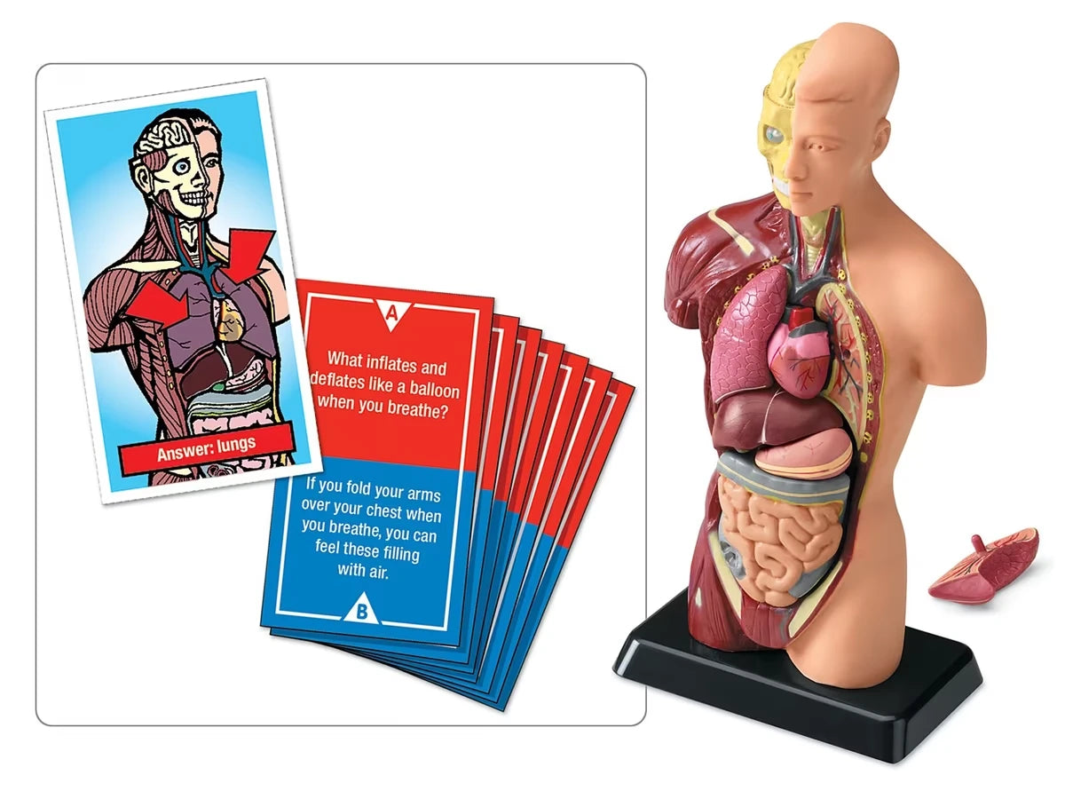 Fascinating Facts Human Body Game - US 1801