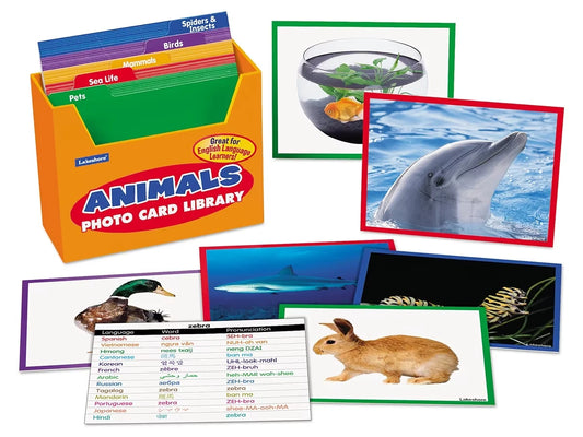 Animals Vocabulary Development Photo Card Library - US 4039