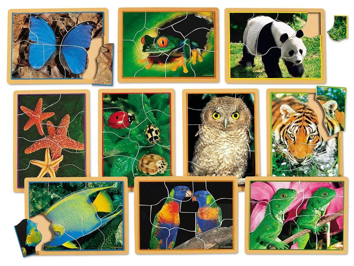 Animals Up Close Puzzle Set - US 4353