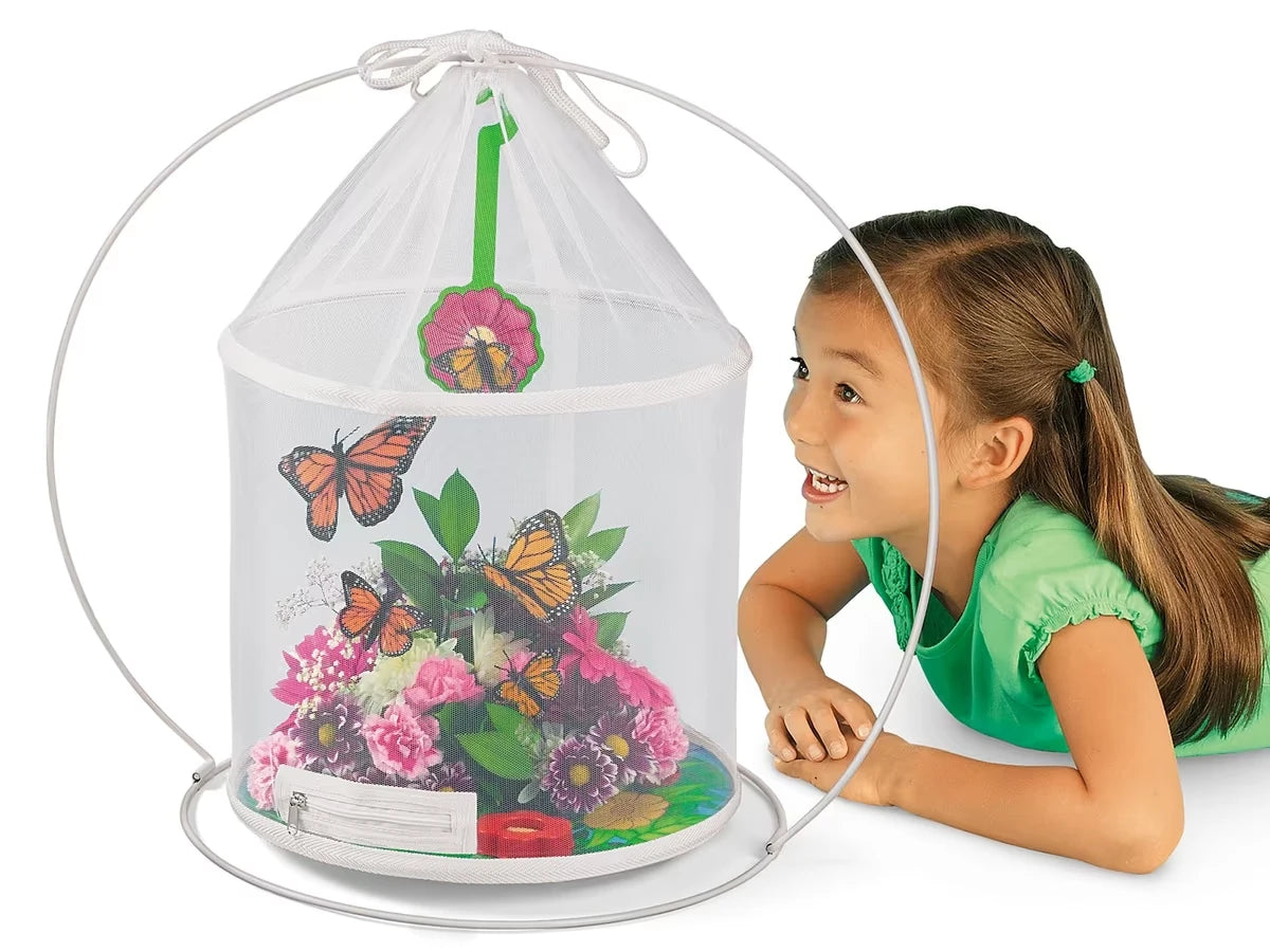 The Butterfly Nursery - US 4803