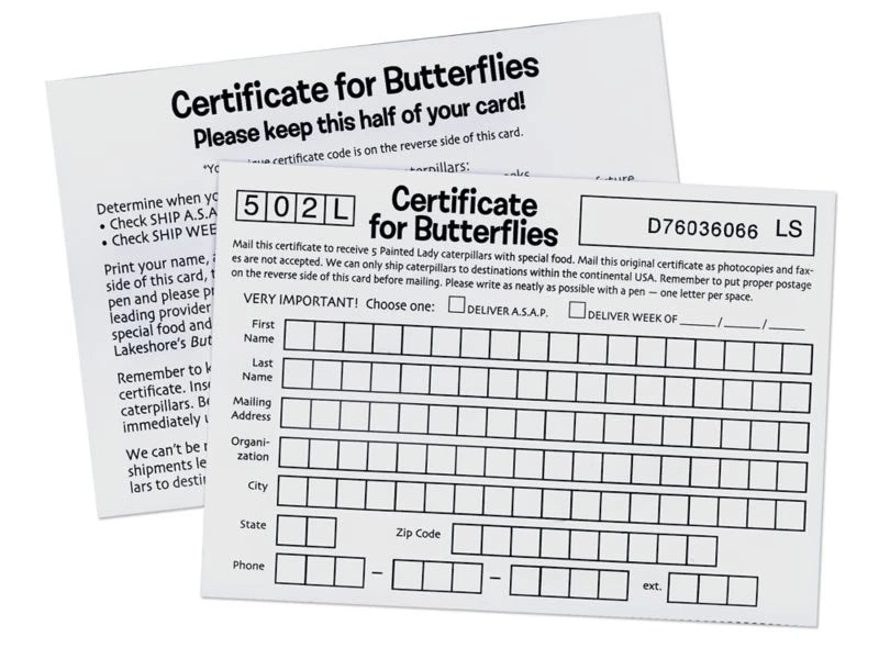 The Butterfly Nursery - US 4803