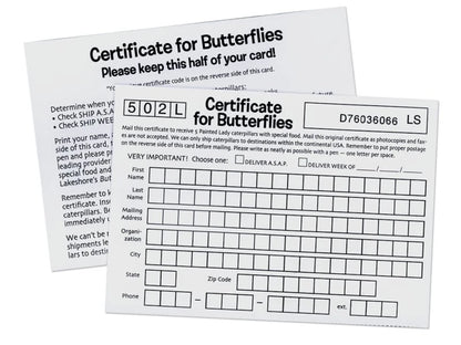The Butterfly Nursery - US 4803