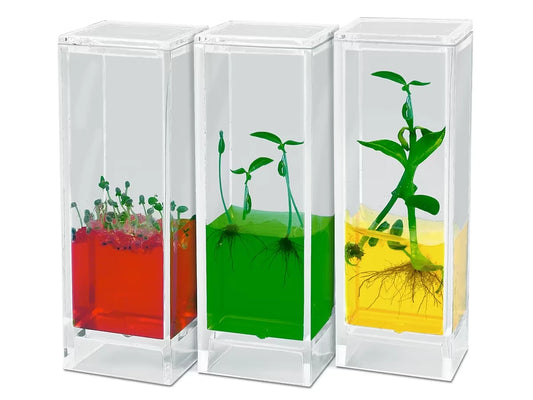 See It Grow Plant Lab - US 3447