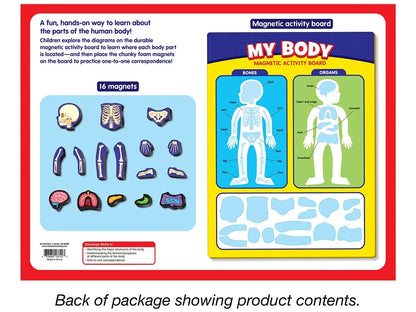 My Body Magnetic Activity Board - US 6264