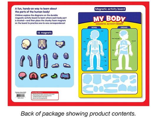 My Body Magnetic Activity Board - US 6264