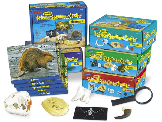 Hands-On Science Specimen Centers - Complete Set - US 5918